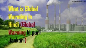 essay on global warming in hindi 100 words