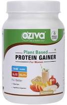 Protein gainer