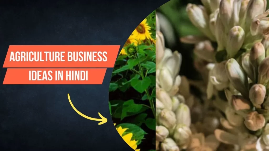 Agriculture Business Ideas in Hindi
