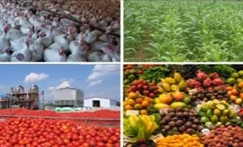 Money Making Agriculture Business Ideas
